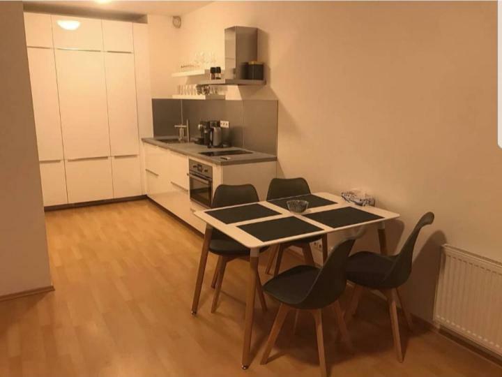 Apartment Modrany Prague