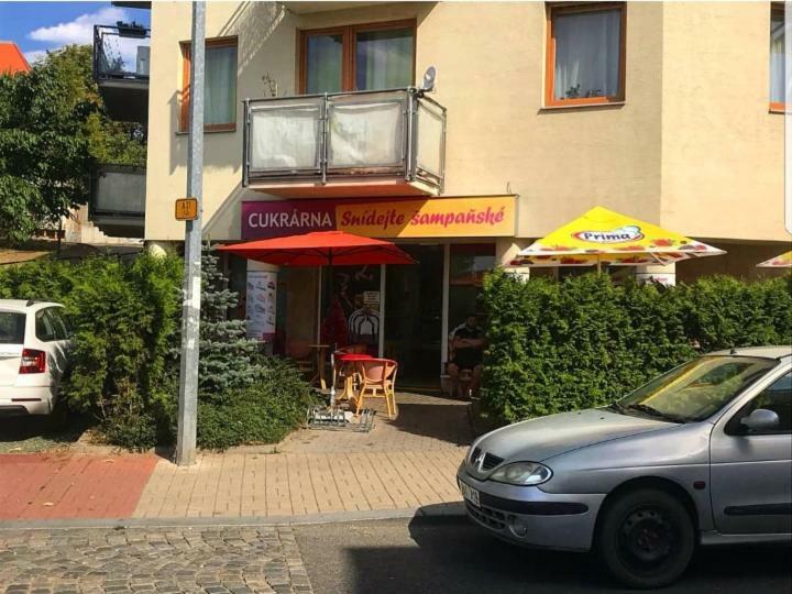 Modrany Apartment *
