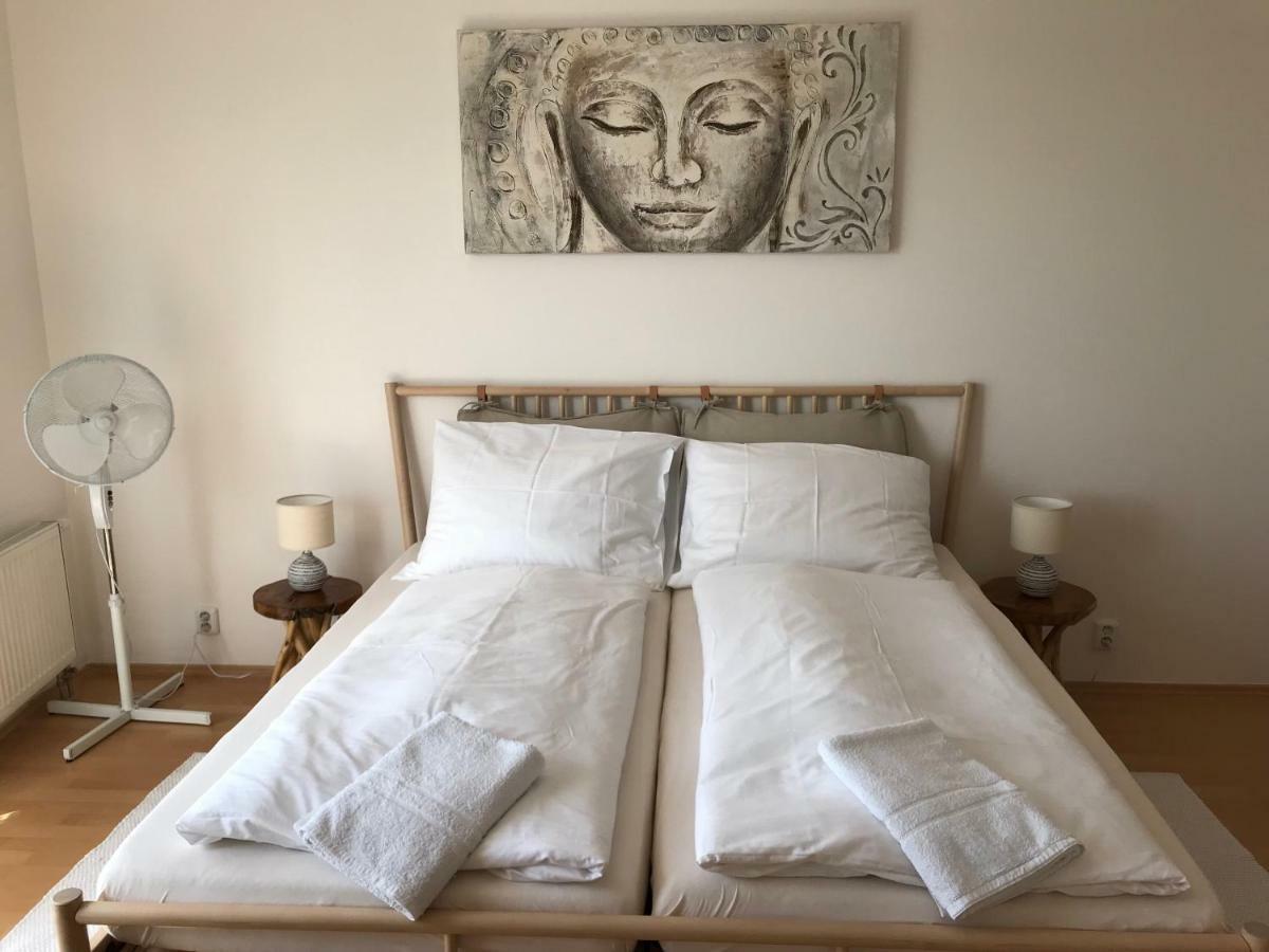 Apartment Modrany